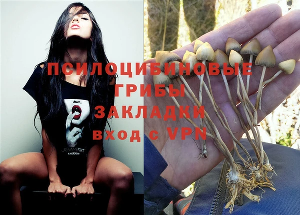мяу мяу мука Богородск