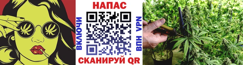 Бошки Шишки VHQ Златоуст
